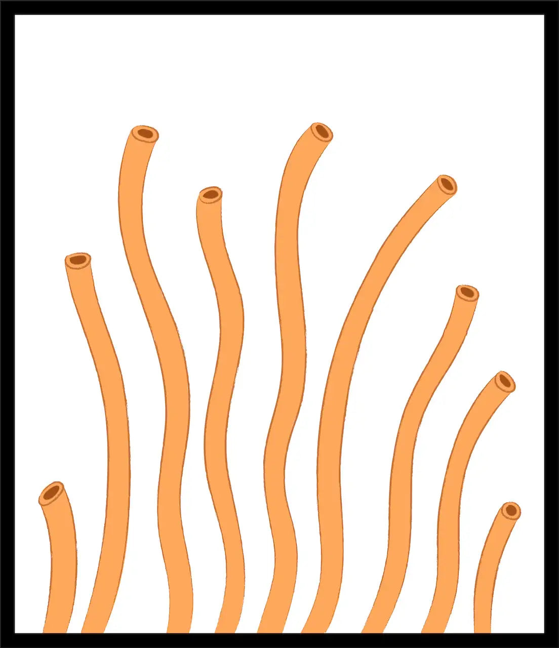 Bucatini — Zelli Pasta