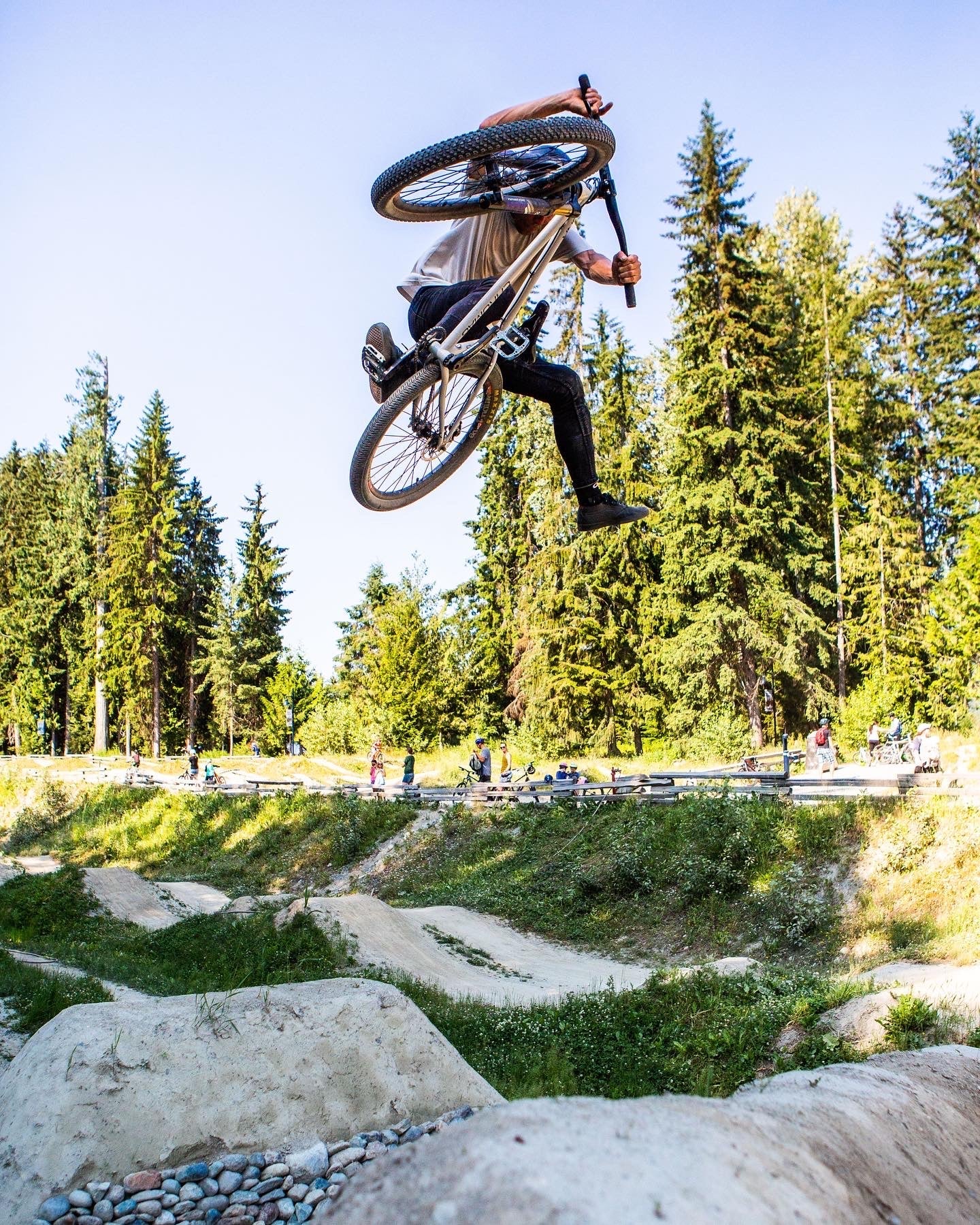 Bunney Bolt Lucky Cotton Crew Socks