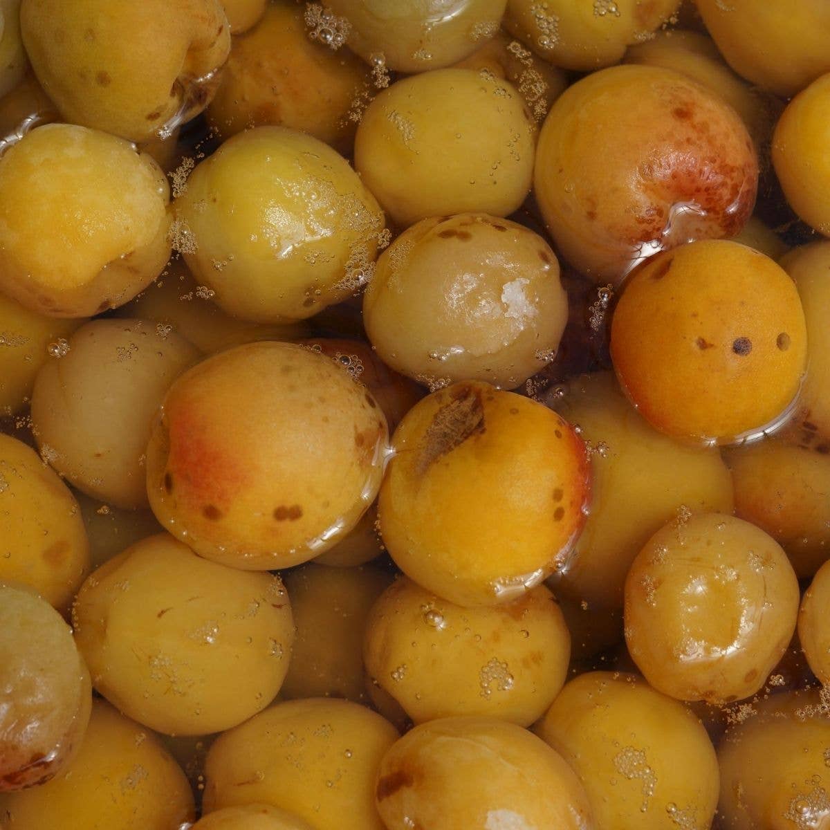 Organic Umesu (Ume Plum Vinegar) — Fukami