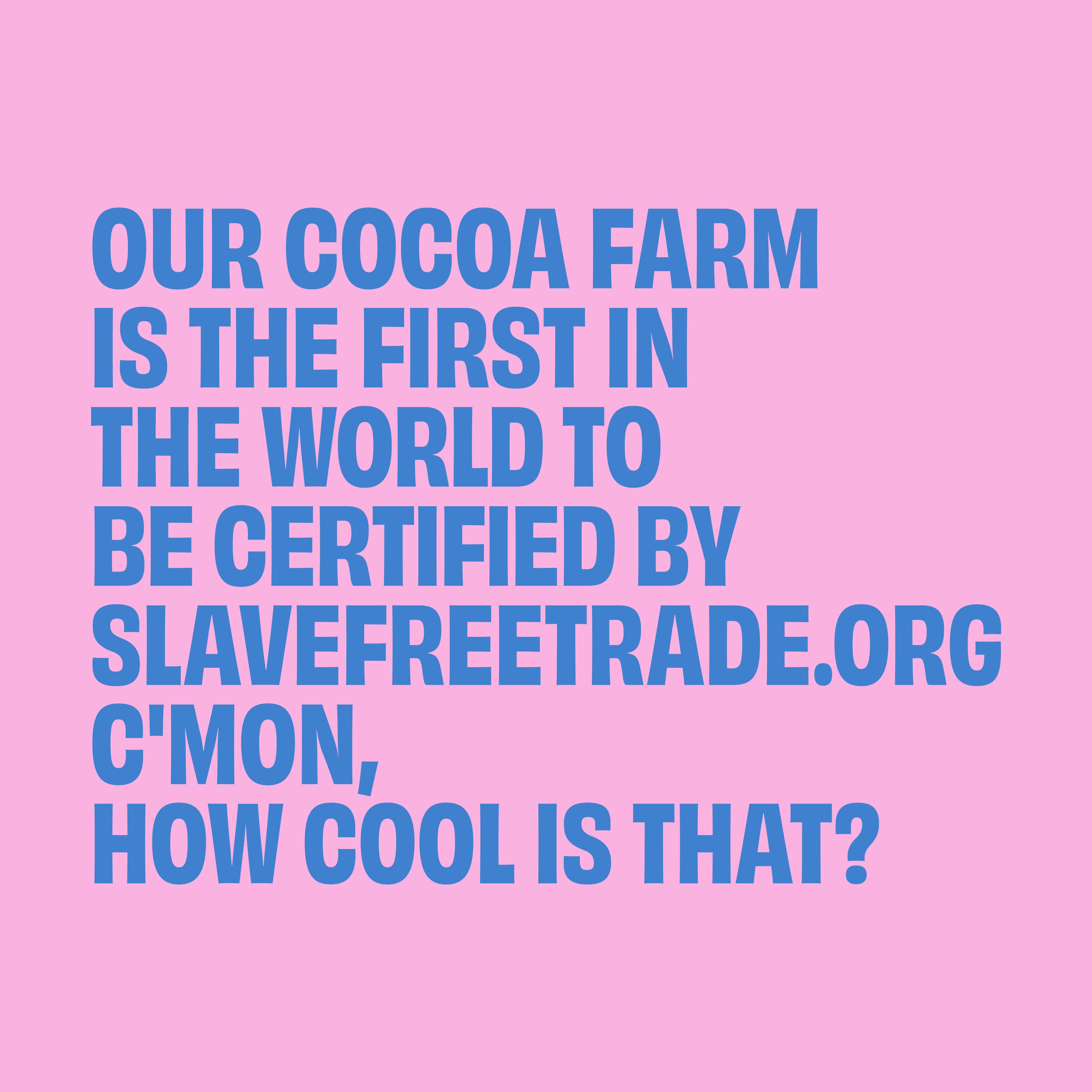 Original Dark Chocolate Bar 120G/4.2OZ