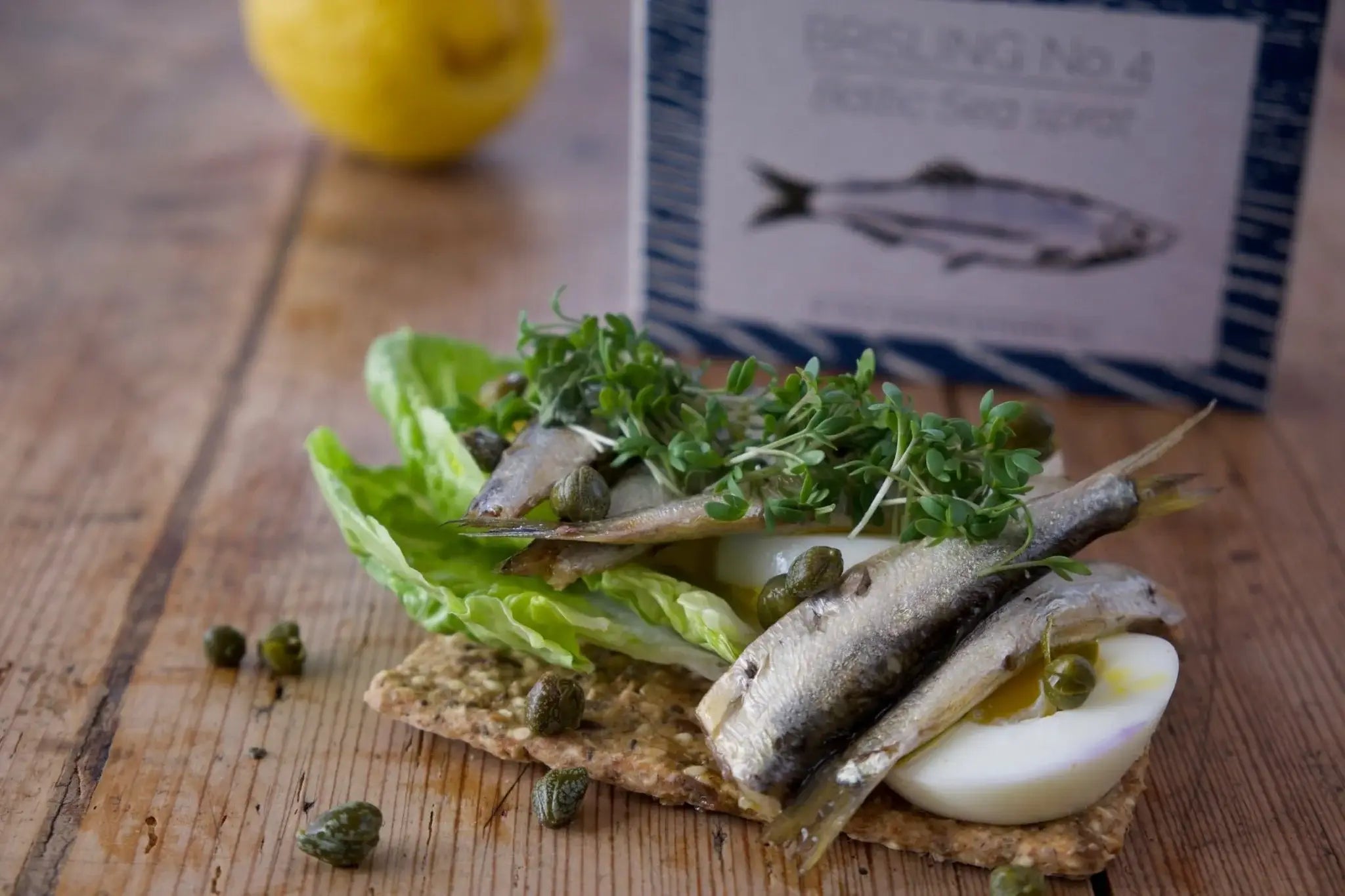 Brisling No. 4 — The Nordic Sardine — Fangst