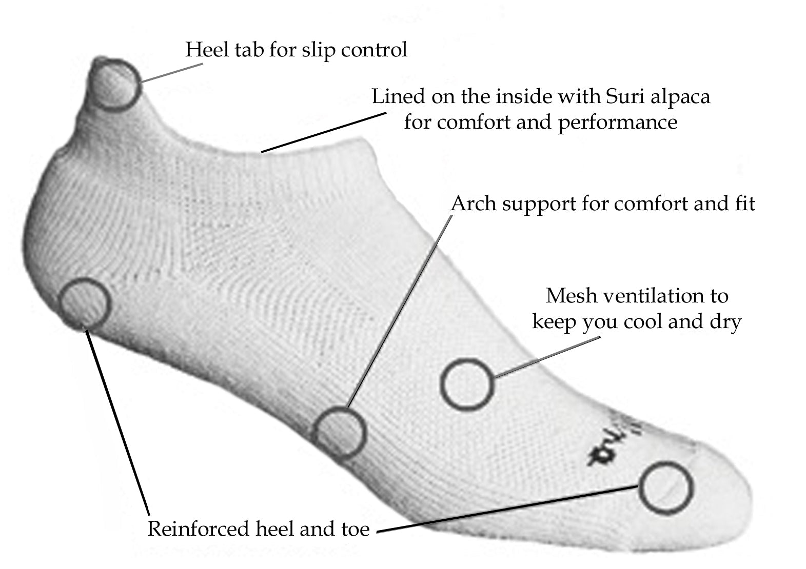 Surino Lightweight Sport Micro Alpaca Sock