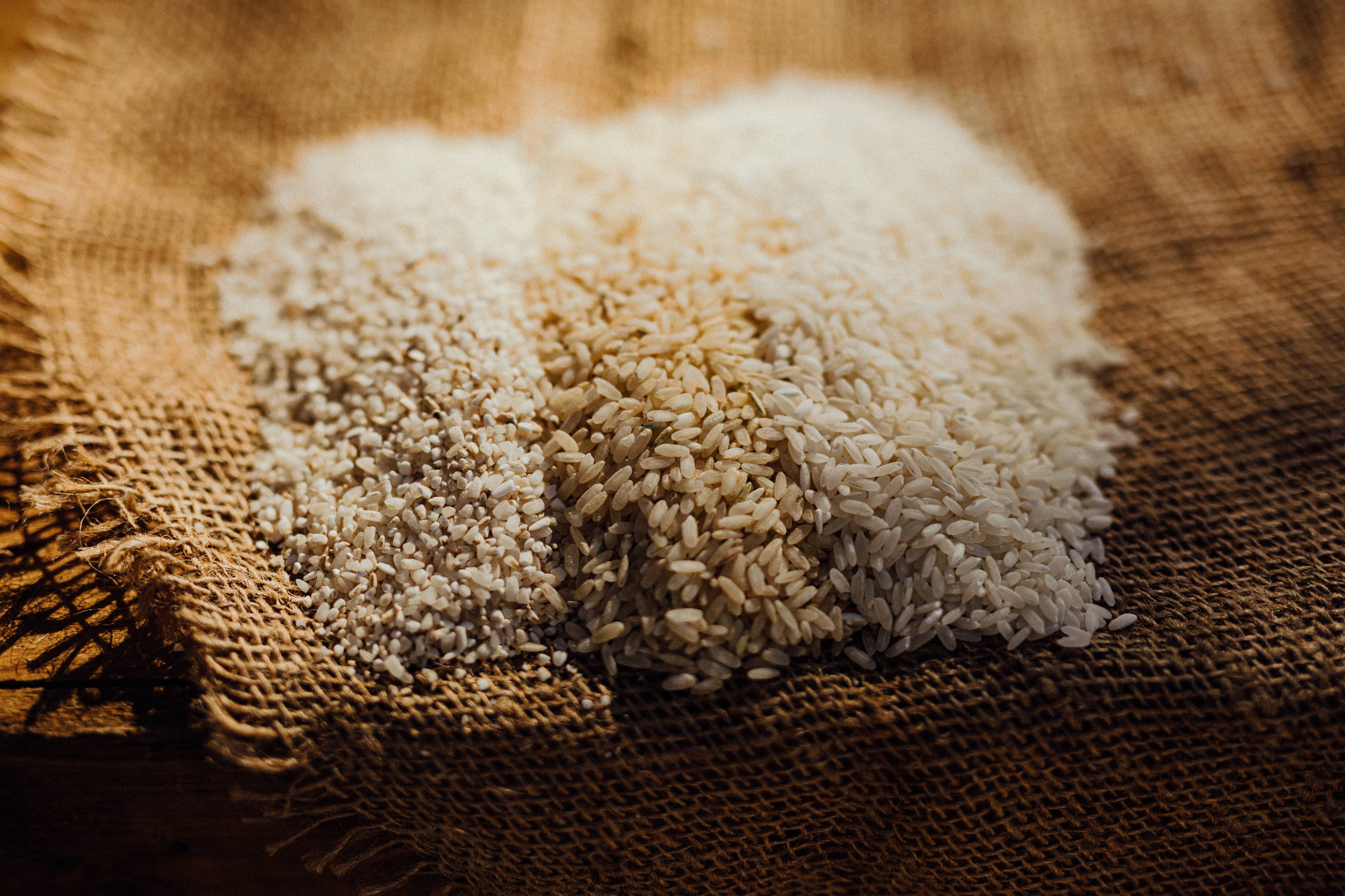 Carolina Gold White Rice — Tidewater Grain Co.