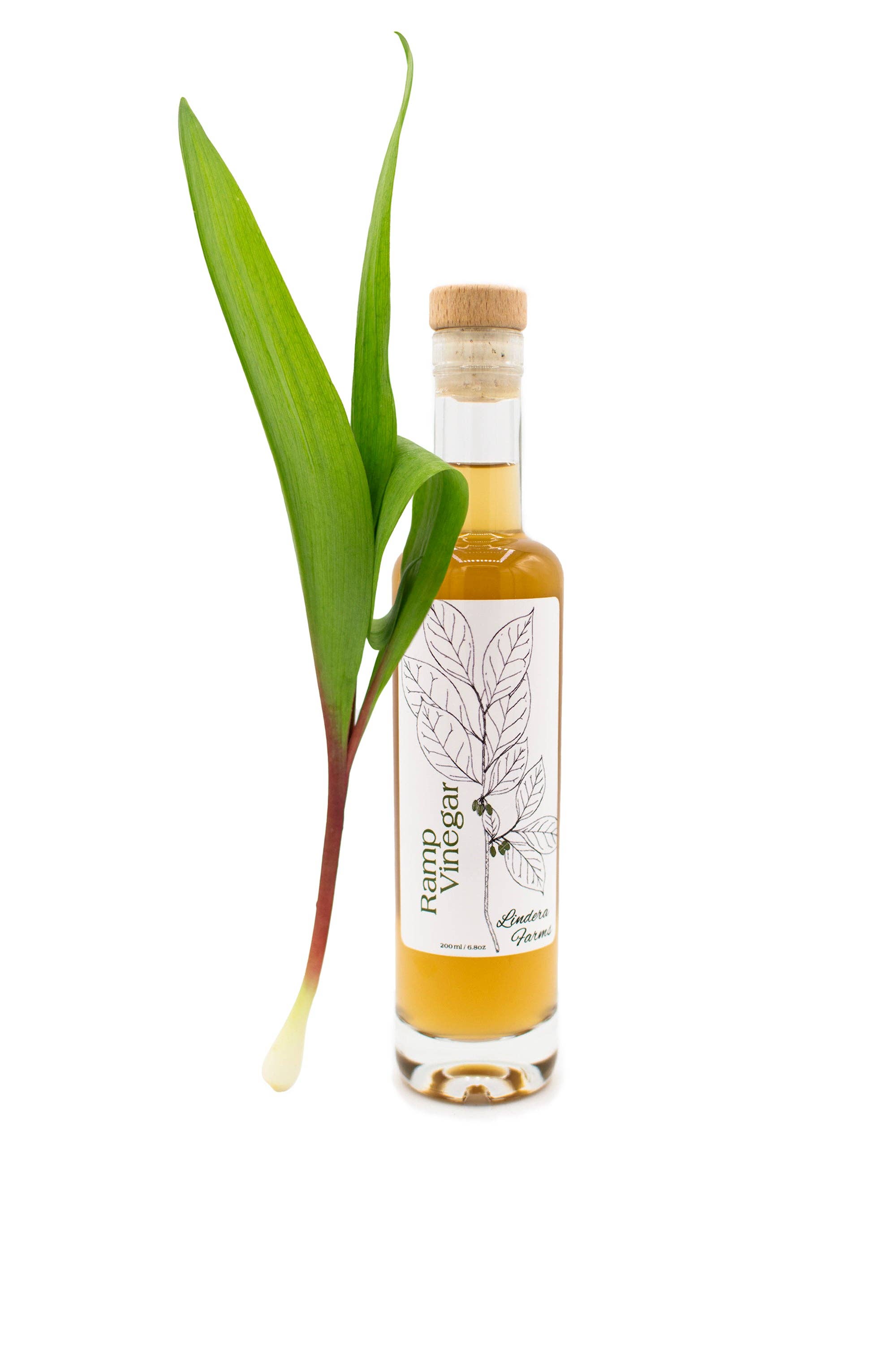 Ramp Vinegar — Lindera Farms