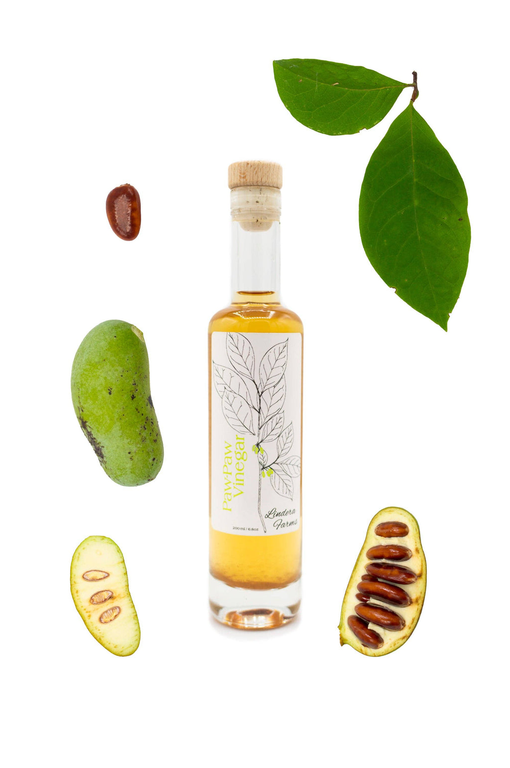 Paw-Paw Vinegar — Lindera Farms