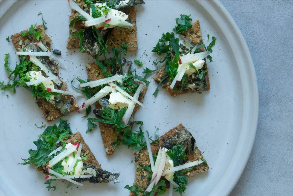 Brisling No. 4 — The Nordic Sardine — Fangst