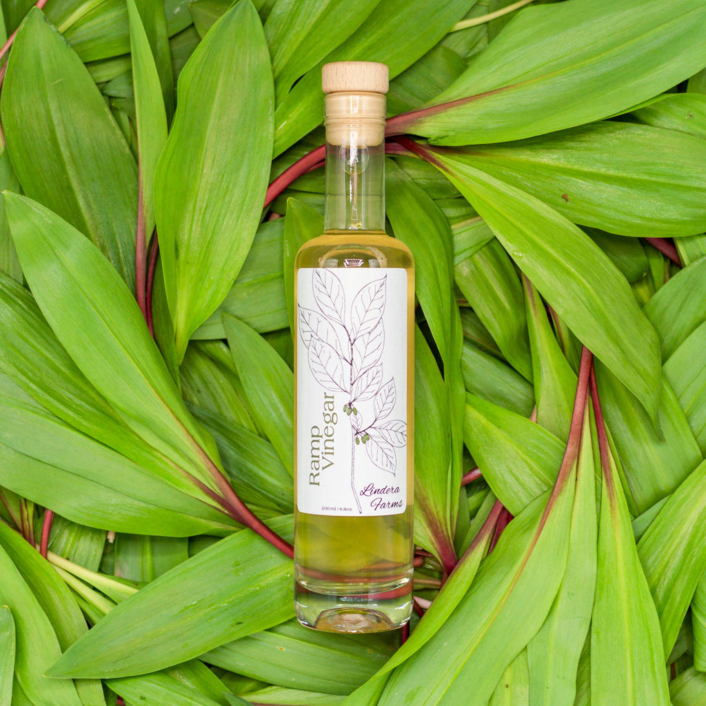 Ramp Vinegar — Lindera Farms