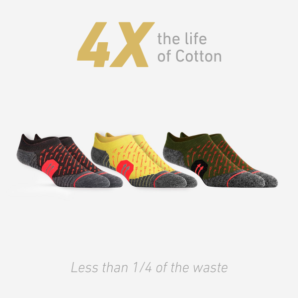 WORN T3 Ankle: Sparrow