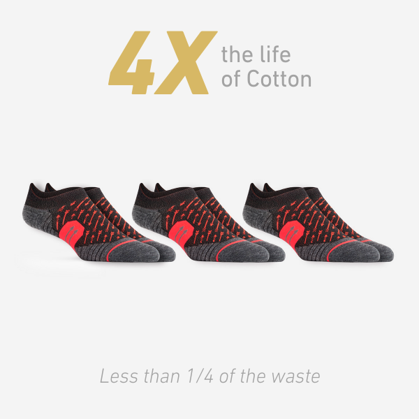 WORN T3 Ankle: Sparrow